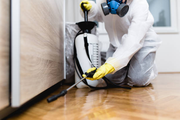 Best Pest Removal Services  in Des C, AR