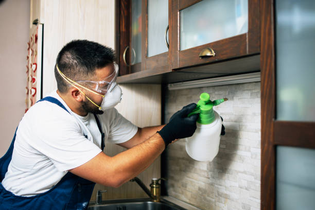 Best Cockroach Control Services  in Des C, AR