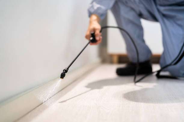 Professional Pest Control in Des Arc, AR