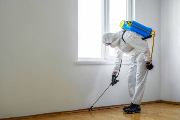 Best Mosquito Control Services  in Des C, AR