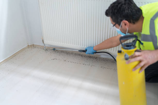 Best Pest Inspection Near Me  in Des C, AR